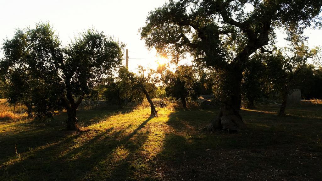 Antica Masseria Scagnito Villa Corigliano dʼOtranto Екстериор снимка